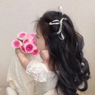 乃木坂春香的秘密